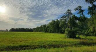 6 ACRES – OLD HWY 90 HIGHWAY VINTON LA 70668