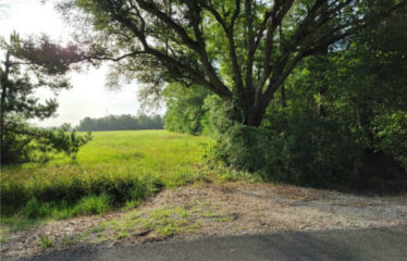 6 ACRES – OLD HWY 90 HIGHWAY VINTON LA 70668